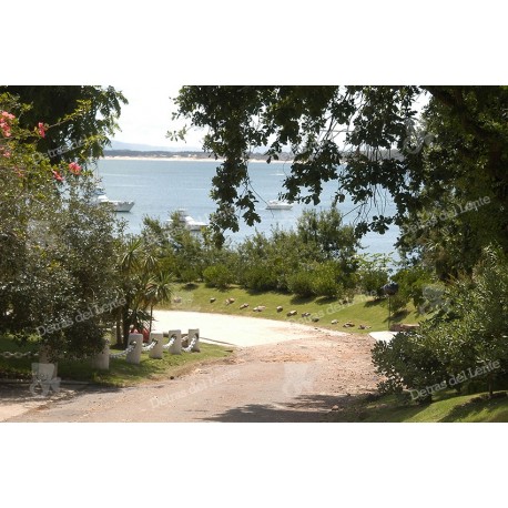 Caminos en Punta Ballena