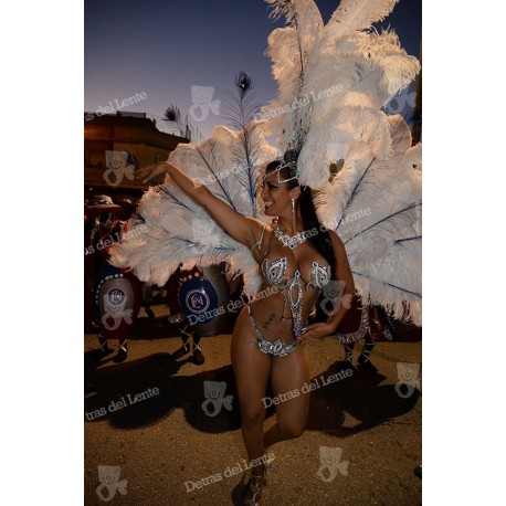 Desfile de Llamadas en Carnaval