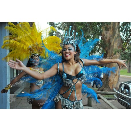Desfile de Llamadas en Carnaval