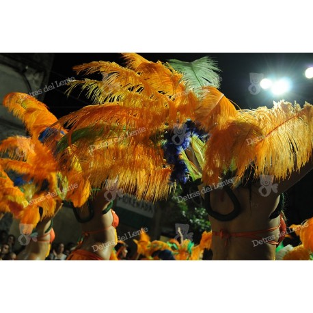 Desfile de Llamadas en Carnaval