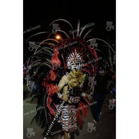 Desfile de Llamadas en Carnaval