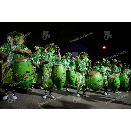 Desfile de Llamadas en Carnaval