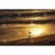 Reflejos de una Puesta de Sol sobre gaviota