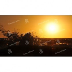 Reflejos de una Puesta de Sol sobre olas