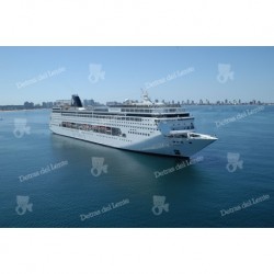 Crucero saliendo de Punta del Este
