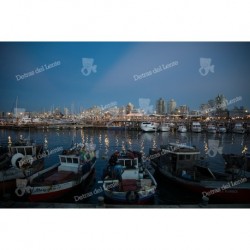 Reflejos en el Puerto de Punta del Este