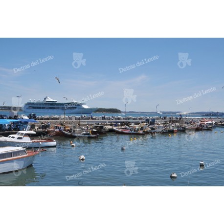 Cruceros en el Puerto