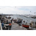 Pescadores en el Puerto de Punta del Este