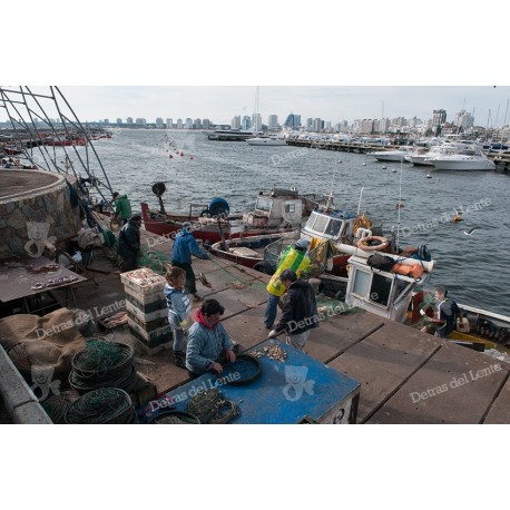 Pescadores en el Puerto de Punta del Este