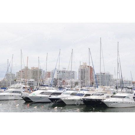 Puerto de Punta del Este y sus yates amarrados