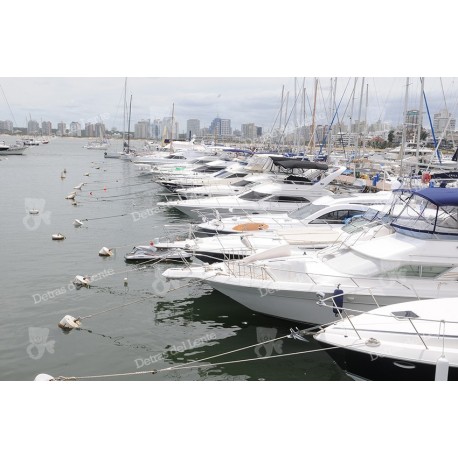 Puerto de Punta del Este y sus yates amarrados