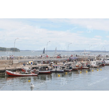 Puerto de Punta del Este y barcazas de pescadores