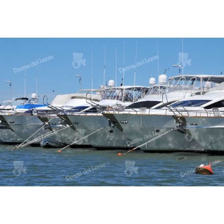 Puerto de Punta del Este y sus yates amarrados