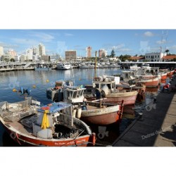 Barcos de Pescadores