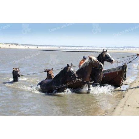 Cruzando botes de pesca con caballos