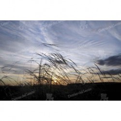 Paisajes y atardeceres de Rocha