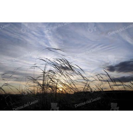 Paisajes y atardeceres de Rocha