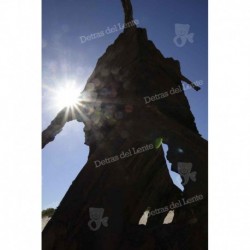 Sol a través del barco hundido