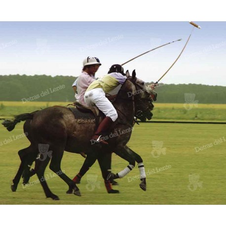 Polo en Punta del Este