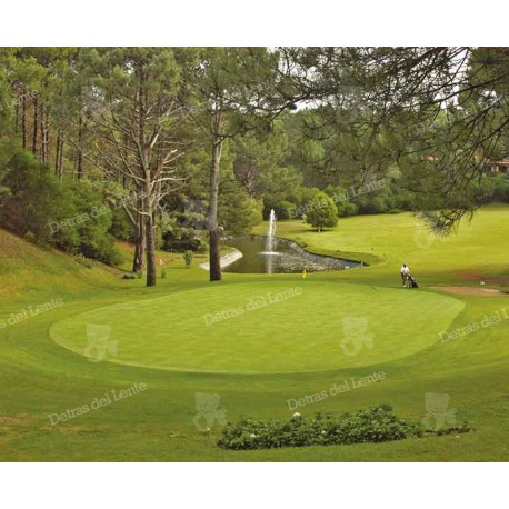 Golf sobre el green en Punta del Este