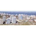 Punta del Este panorámica