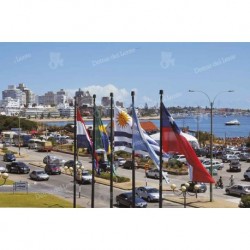 Banderas sobre la rambla