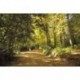 Camino sobre Alboretum Lussich