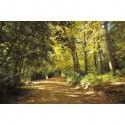 Camino sobre Alboretum Lussich