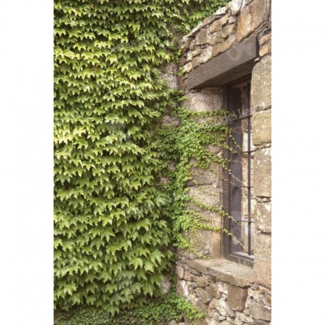 Construcción histórica Alboretum Lussich