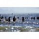 Reflejos sobre el mar con personas