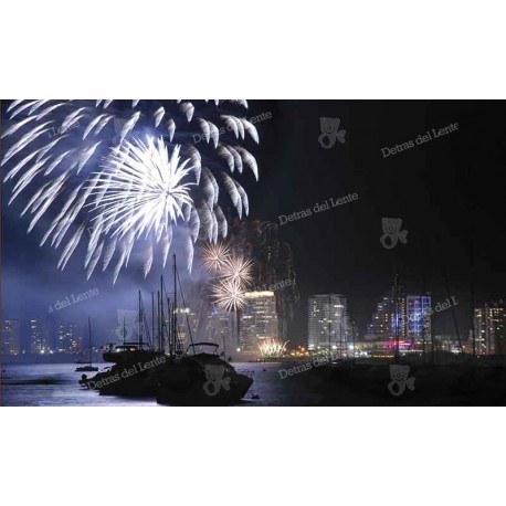 Fuegos artificiales en la noche