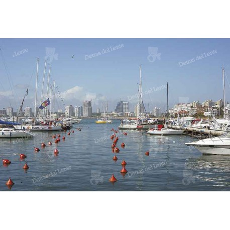 Yates en el Puerto de Punta del Este