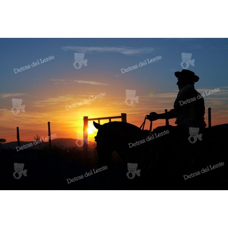 Atardecer en el campo