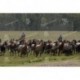 Arreando caballos