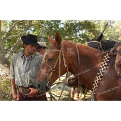 Gaucho y su caballo