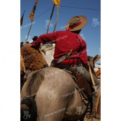 Cabalgando en las domas
